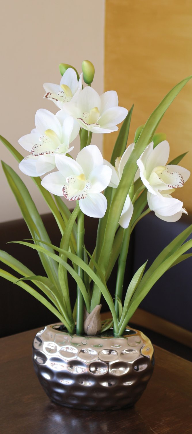 2533 778 a3 Пластиковая орхидея цимбидиум, горшечная, 55 см, real touch soft, бежево-белая H-andreas  - Вид №3