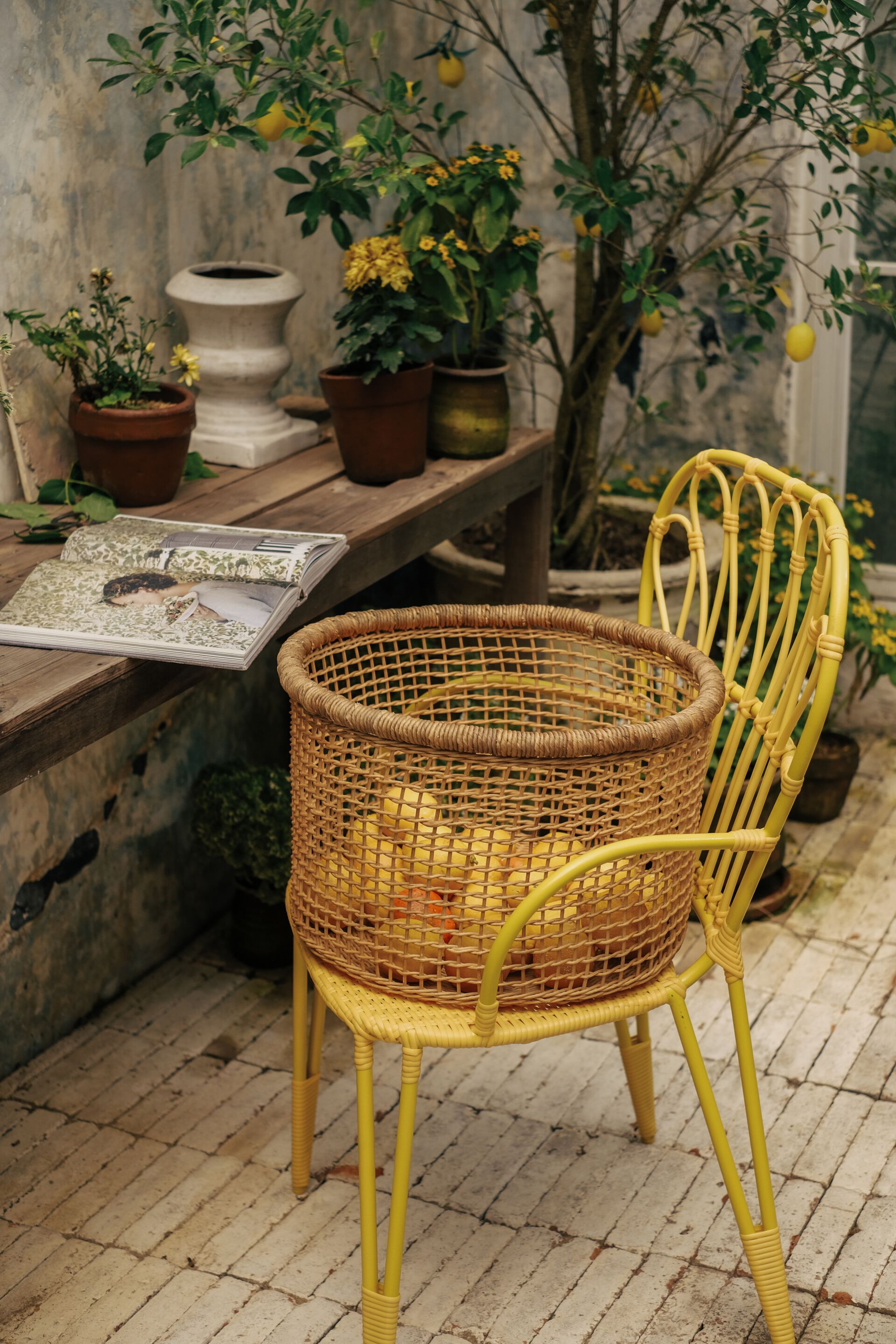 Синтетическое волокно и алюминиевый садовый стул с подлокотниками cbdesign Fiorella ARCH-00081323 - Вид №5