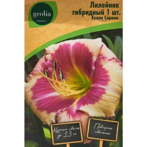 Лилейник Geolia гибридный Хелло Скриме 86408712 STLM-2194222