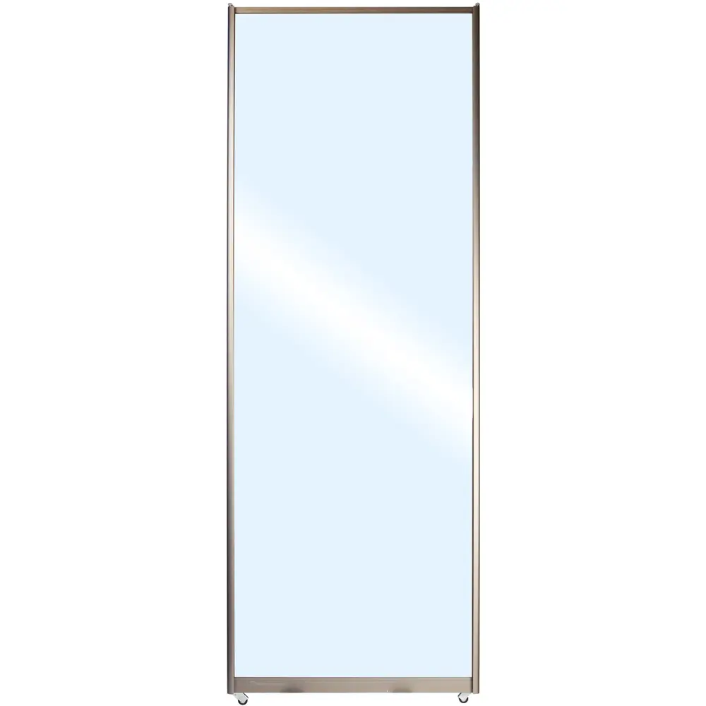 Дверь-купе Spaceo 2117х904 мм зеркало 18338851 STLM-2020233 Santreyd 