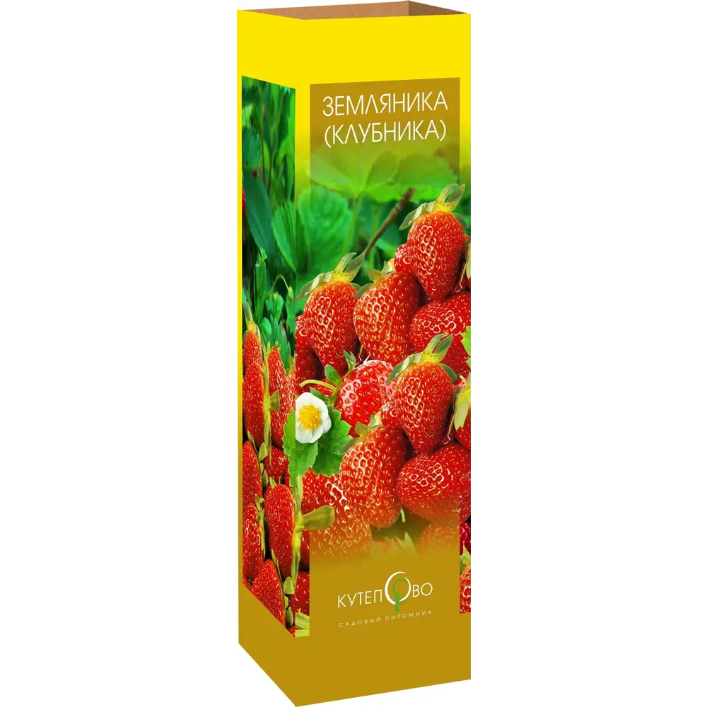 Земляника 9x30 см 3 шт. 83539273 STLM-2074558 Santreyd 