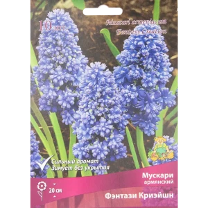 Мускари армянский Фэнтази Криэйшн, 10 шт 85205638 STLM-2125573