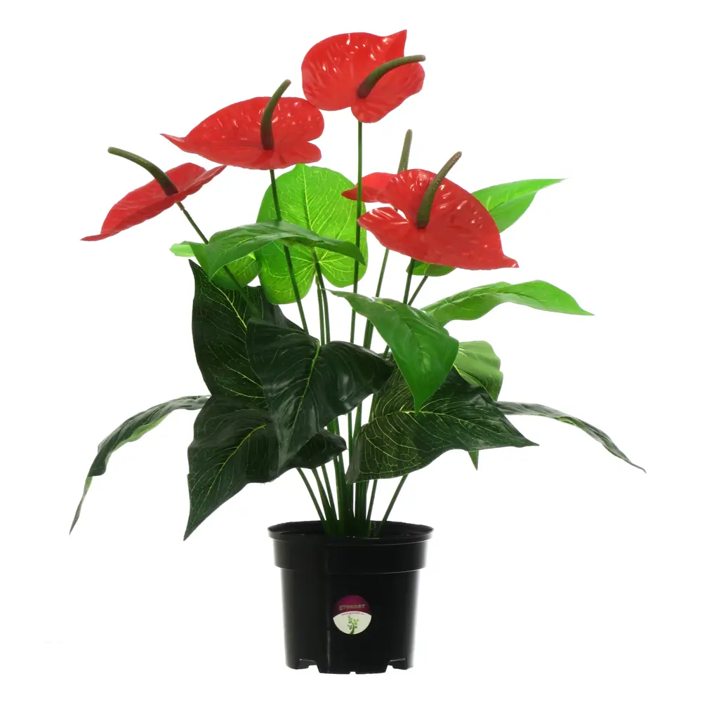 Искусственное растение Антуриум Макс ø13 h45 см Santreyd STLM-2045388