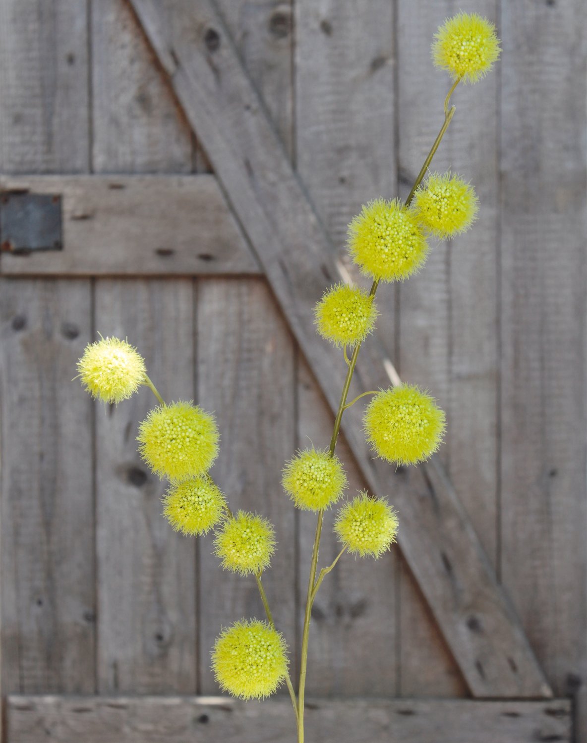 5535 883 a3 Искусственный спрей из плодов гомфокарпуса, 103 см, зеленый H-andreas  - Вид №6