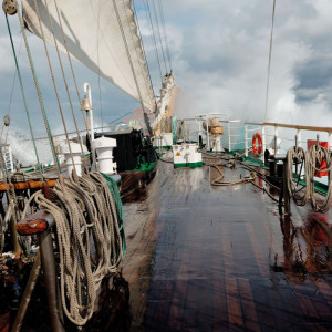 1069/CX38 Картина 1069 Adriani e Rossi