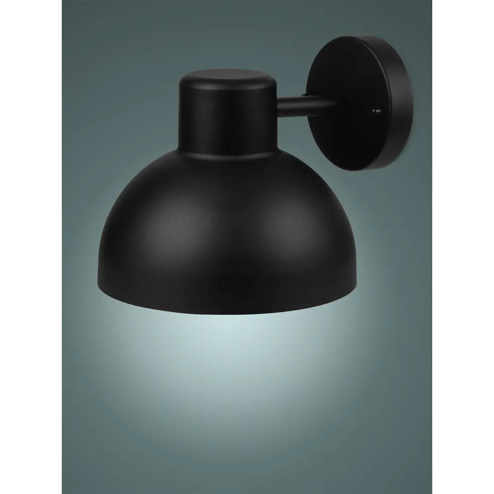 Настенный светильник TDM Electric Boston для фасадного освещения 89363239 STLM-0906197 - Вид №2