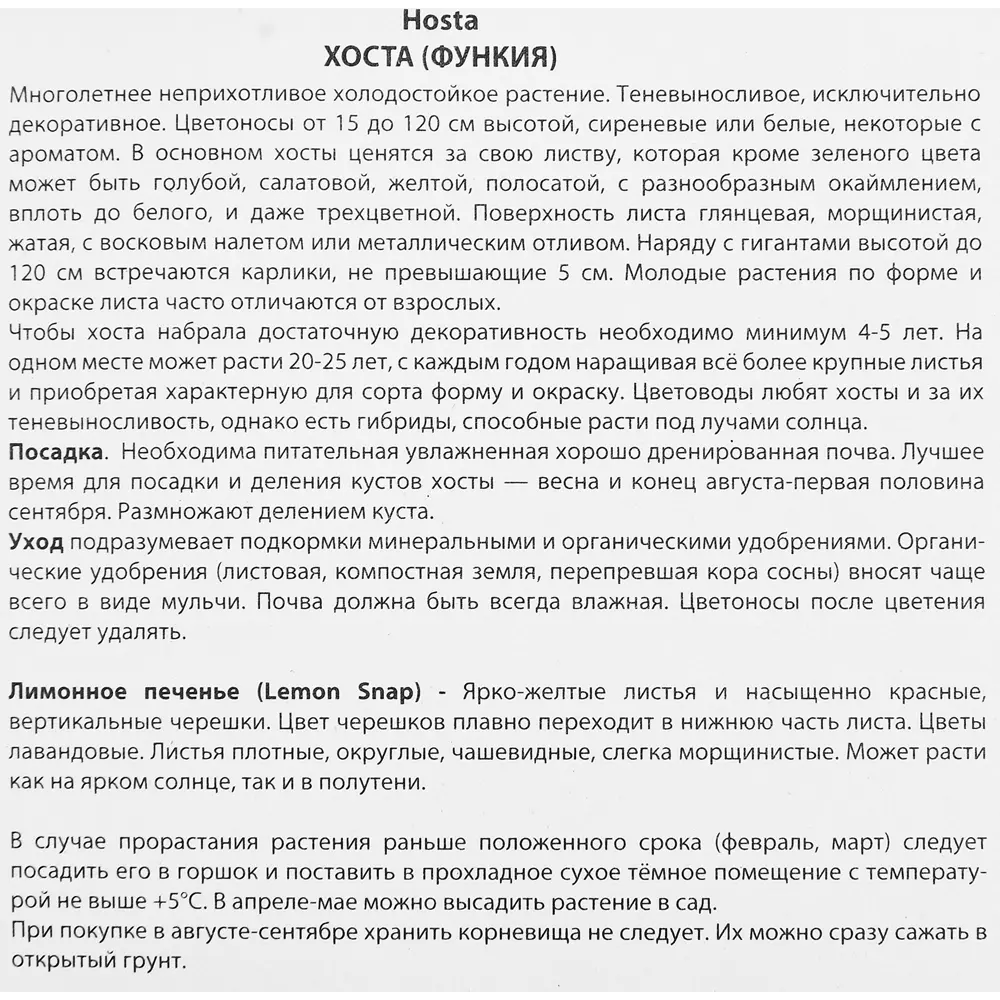 Хоста гибридная Лемон Снэп 89351836 STLM-2069740 ПОИСК  - Вид №2