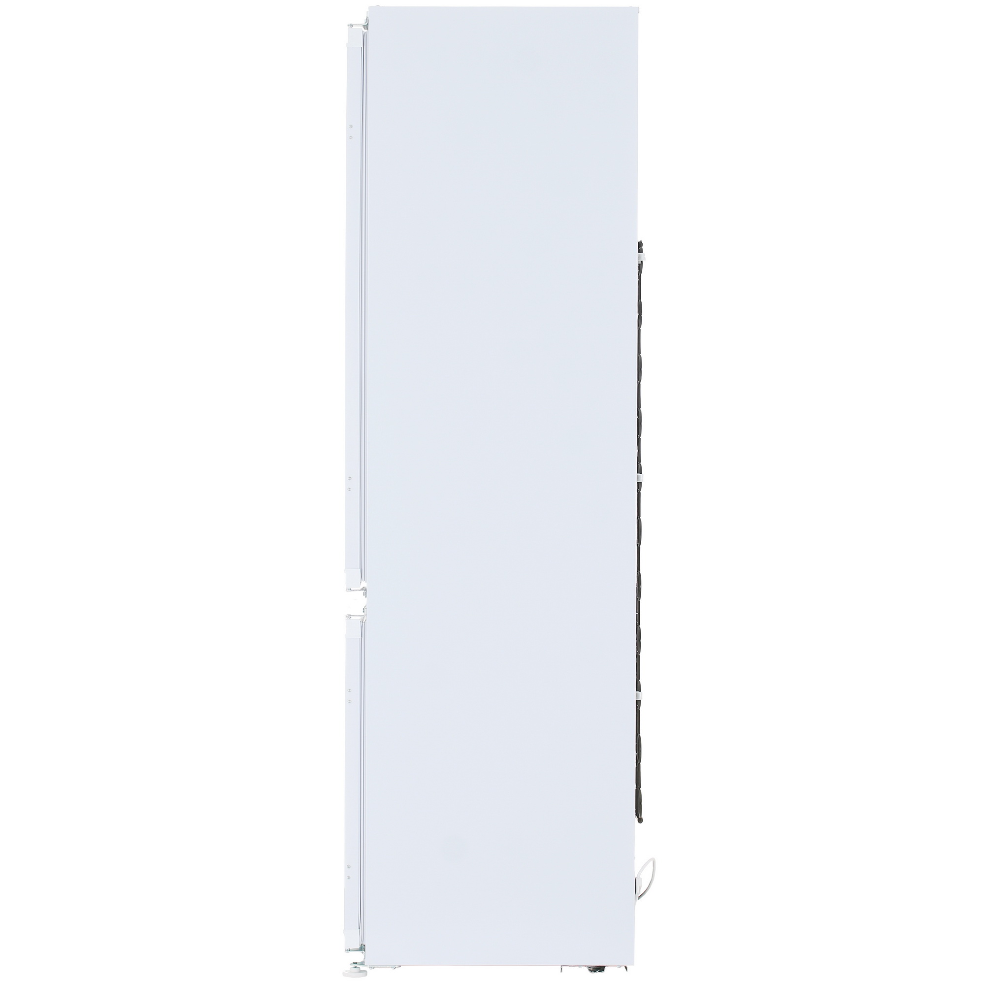 4897331 Встраиваемый холодильник Ascoli ADRF250WEMBI STDN-0121612 - Вид №3