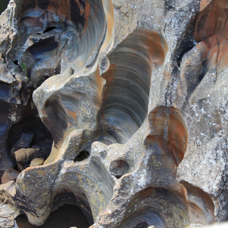 1278/C Картина 1278 Adriani e Rossi 