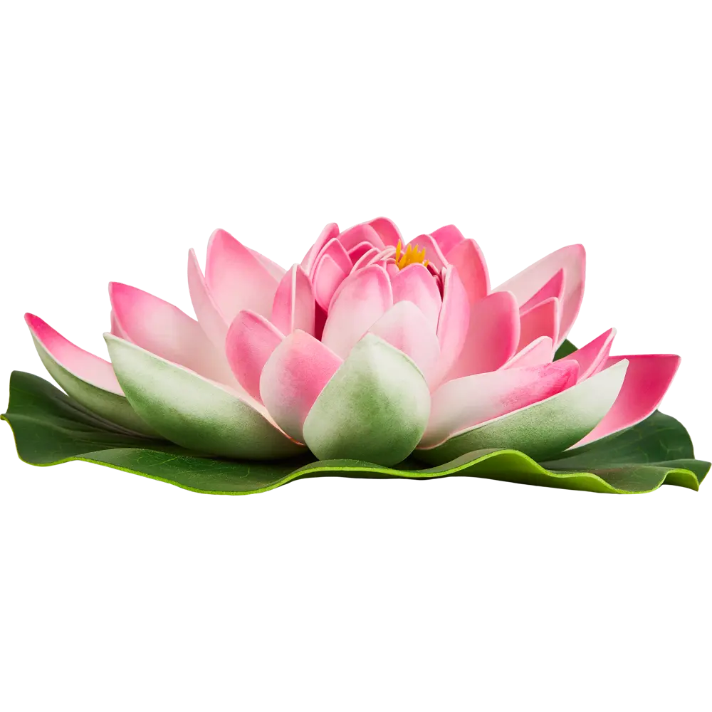 ECOTEC Лотос для водоема - элегантное украшение пруда 86870415 STLM-0072256 - Вид №1