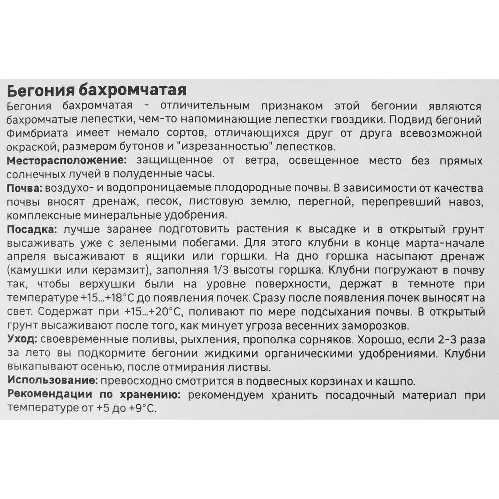 Бегония бахромчатая смесь окрасок Geolia 3 шт 86408536 STLM-2175373  - Вид №3