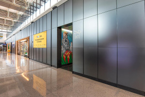 FSRT637 Система облицовки стен Levelr с панелями из вивихромового хромового стекла в отражающей конфигурации с индивидуальной цветовой прослойкой и опалексной отделкой, индивидуальной графикой туалета с индивидуальной подсветкой световой панели и настраив