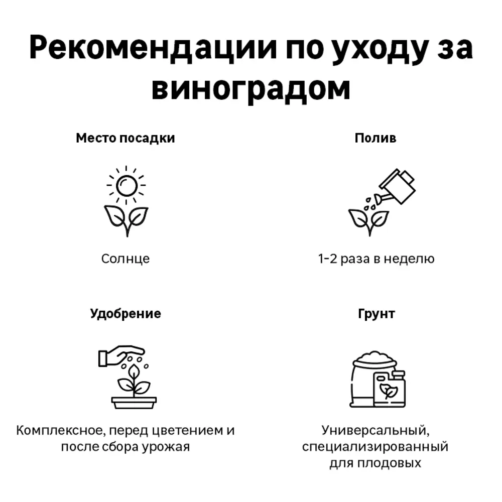 Виноград Девичий Вейтчи туба h60 см 89353030 STLM-2117996 Santreyd  - Вид №2