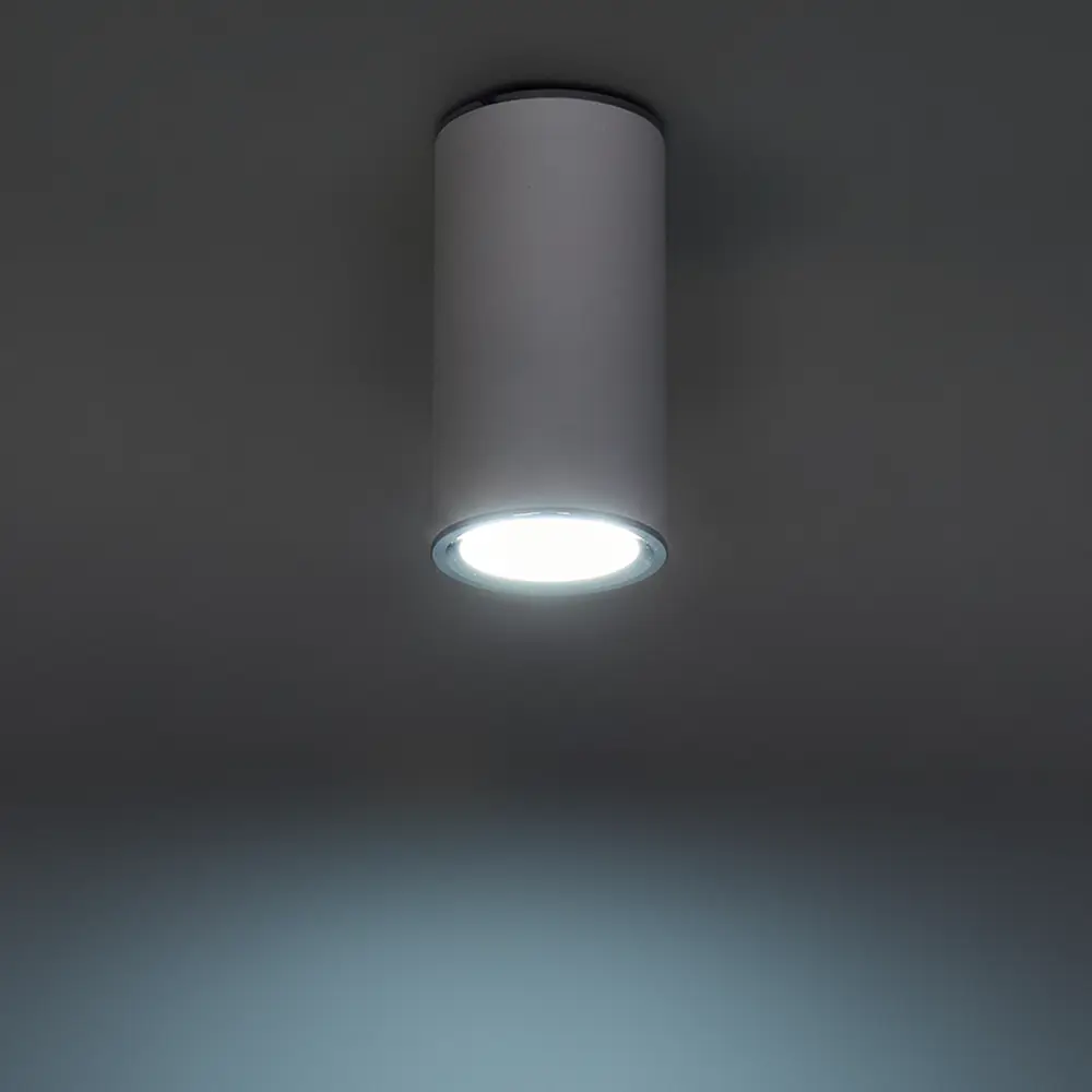 Светильник точечный накладной Elektrostandard DLN101 GU10 2 м² цвет белый STLM-2012529 - Вид №1