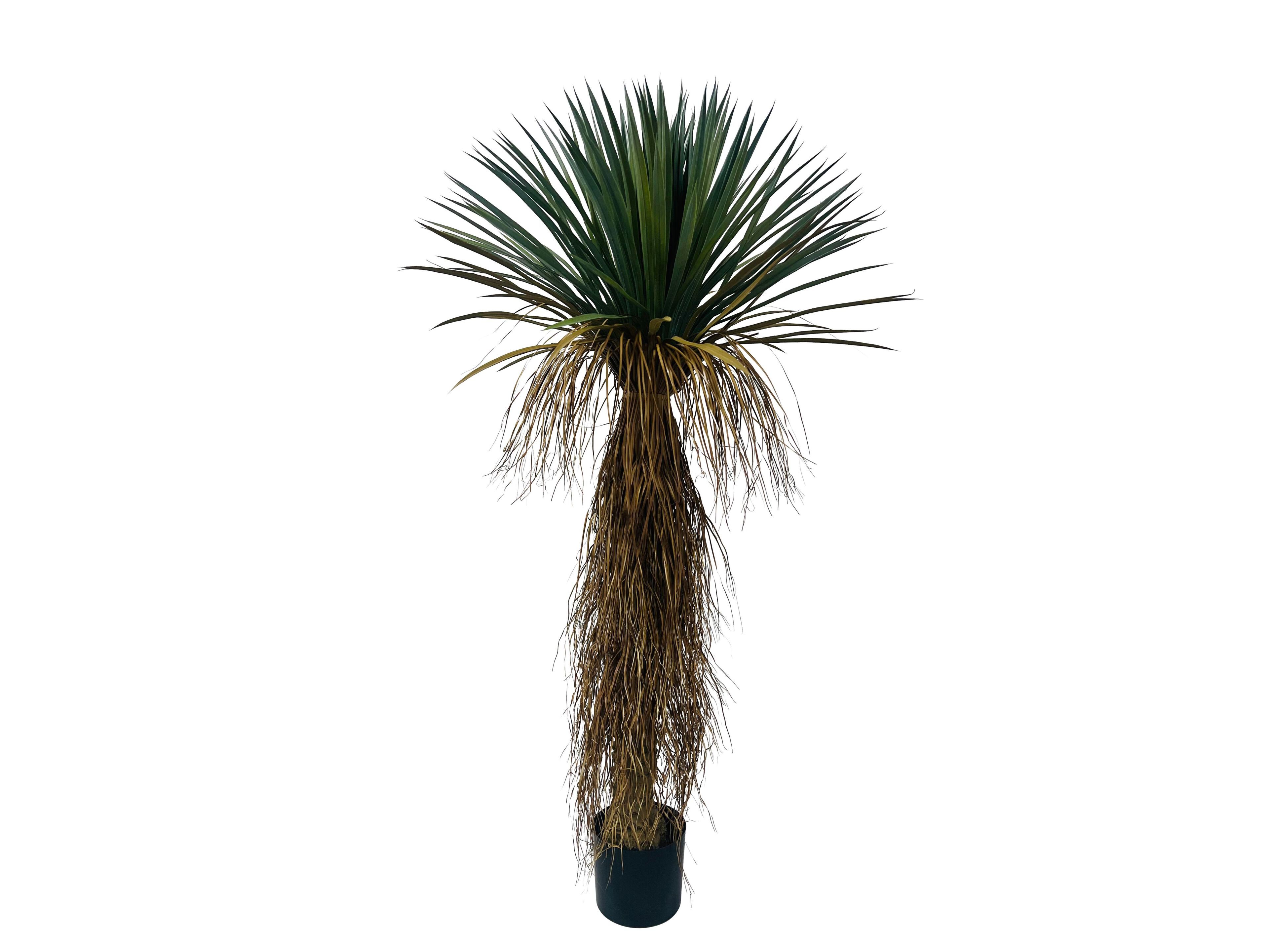 Искусственное растение BIZZOTTO YUKKA ROSTATA ARCH-00030591 - Вид №1