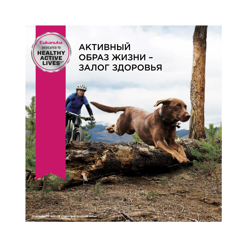 ПР0033059 Корм для собак для крупных пород старше 6 лет сух. 4кг Eukanuba  - Вид №4