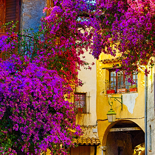 A1-069 Фотообои DIVINO Collection A 2.7х1 м A1069