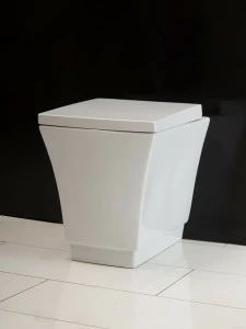 Унитаз приставной BelBagno REGINA Приставной унитаз напольный Белый BELBAGNO REGINA Китай