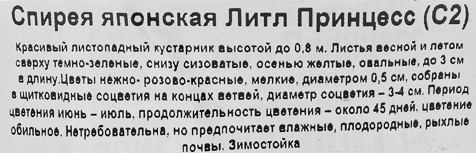 Спирея японская «Литл Принцесс» - цветущий кустарник для сада 82360404 Santreyd STLM-0025397 - Вид №1