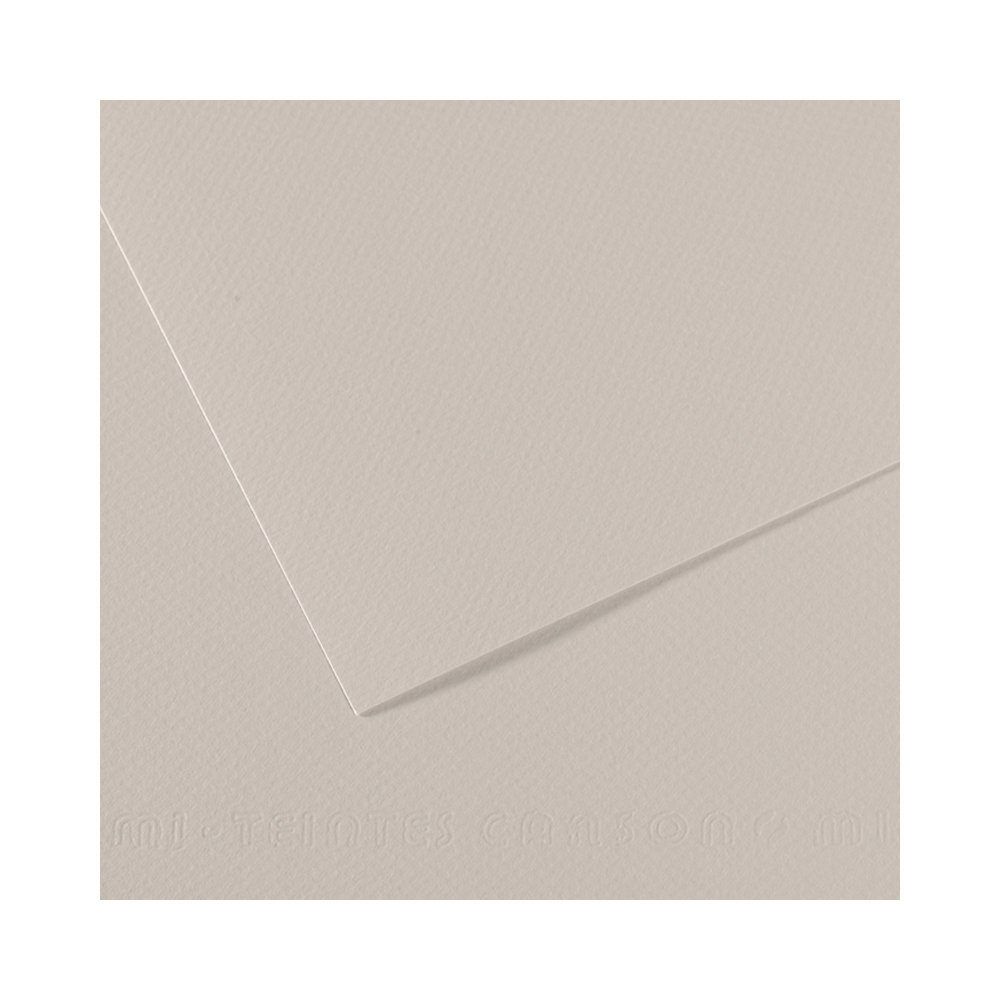 200321354 Бумага для пастели Mi-Teintes 160 г/м2 50 х 65 см лист №120 серый Canson 