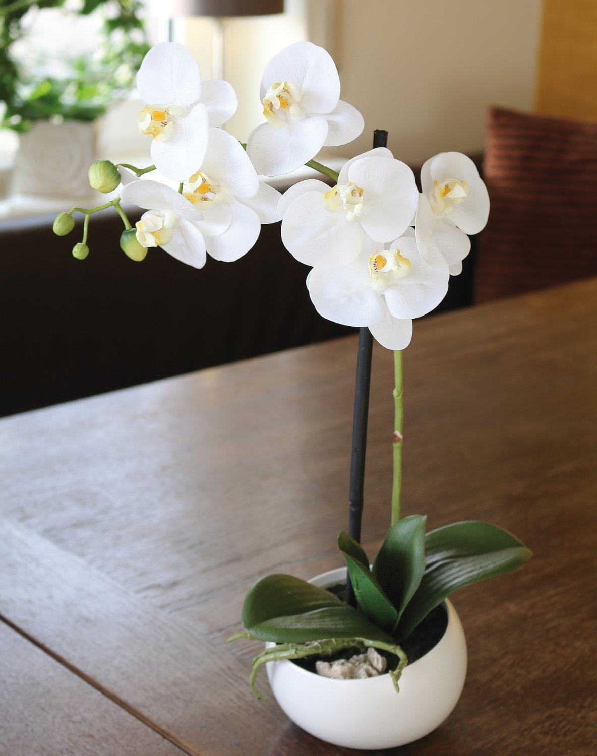 2762 778 a3 Пластиковая орхидея Phalaenopsis, горшечная, 45 см, real touch soft, бежево-белая H-andreas 