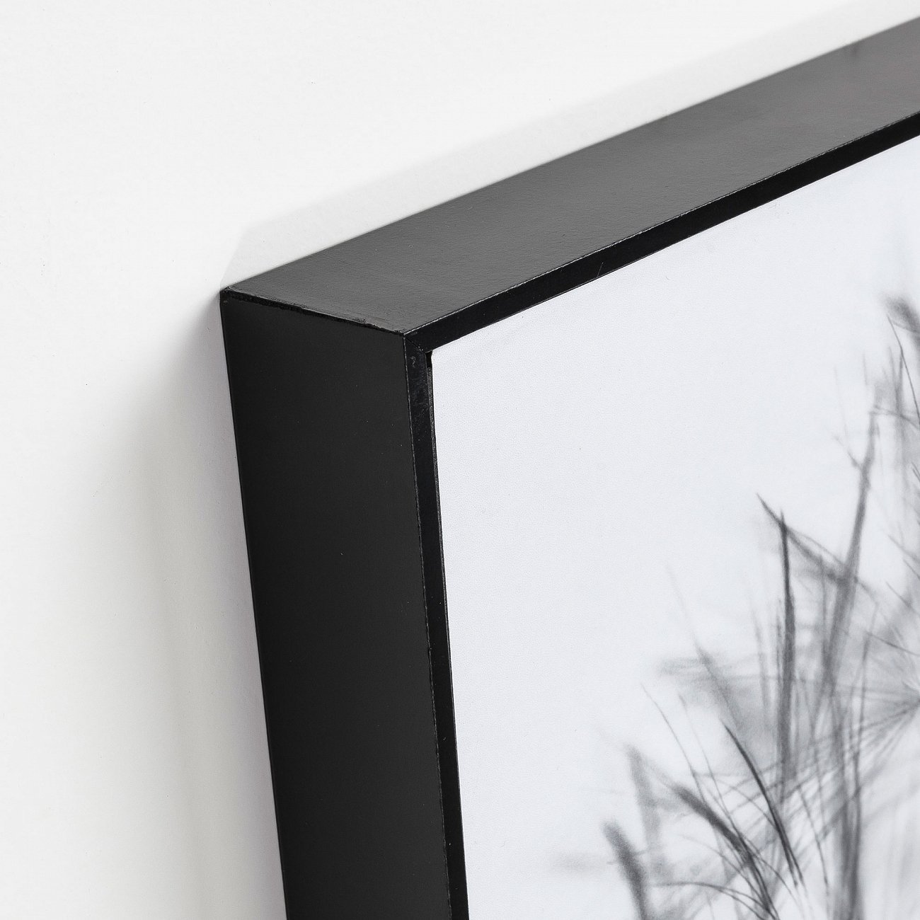 Картина на холсте 40х30 см черно-белая "Каланта. Одуванчик" от La Forma LA FORMA CALANTHA 343069 Белый;серый;черный  - Вид №1