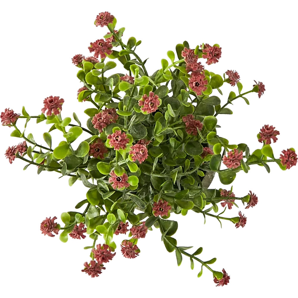 88999718 Искусственное растение Бонсай пластик 21 см STLM-0824665 Santreyd  - Вид №1