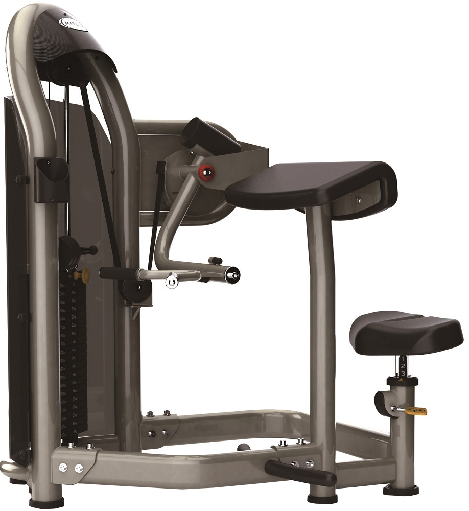 G3-S40 aura g3-s40 бицепс-машина MATRIX Aura