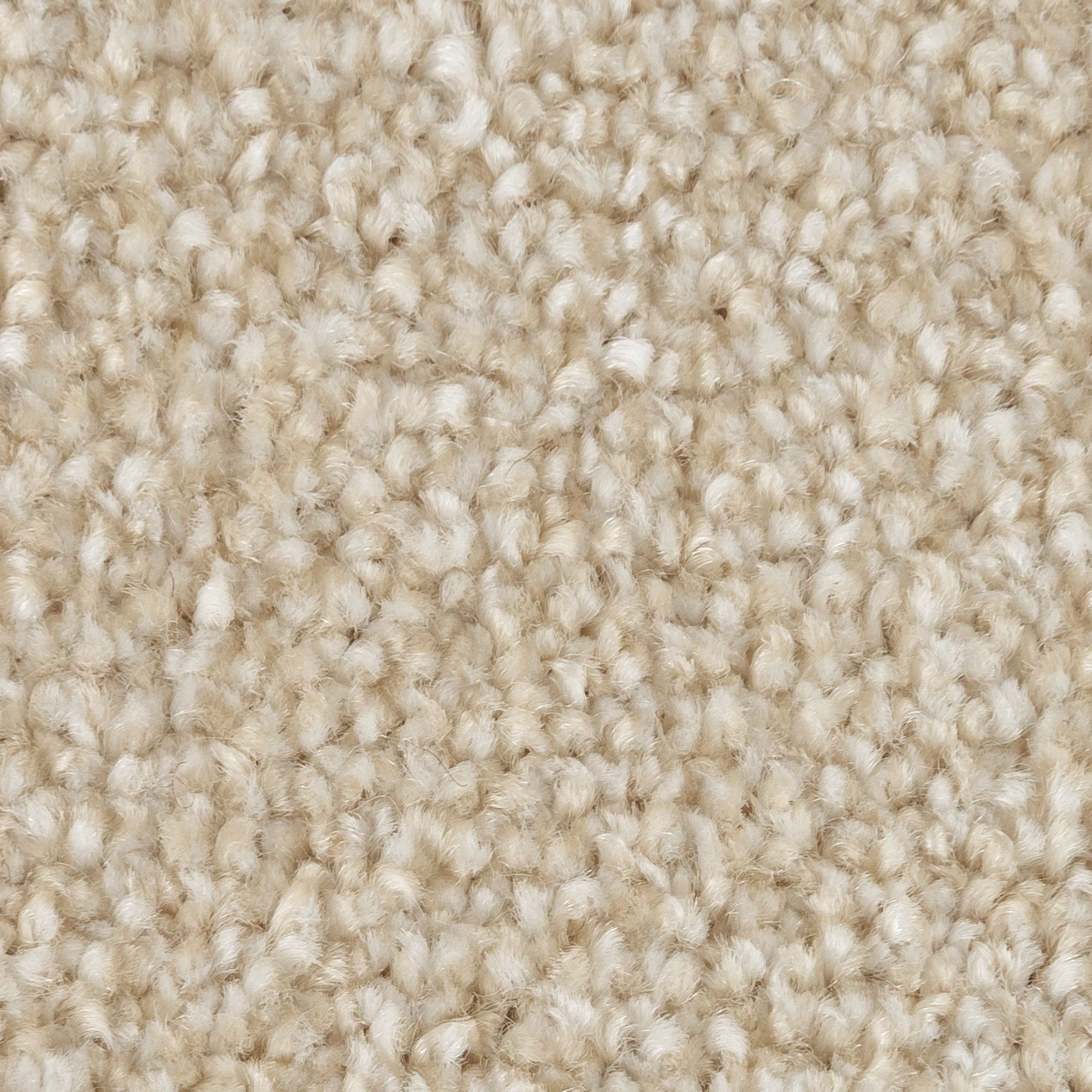 81967242 Ковровое покрытие ворсистое «Парадиз 590» ворсовое 3 м цвет пломбир Santreyd  - Вид №1