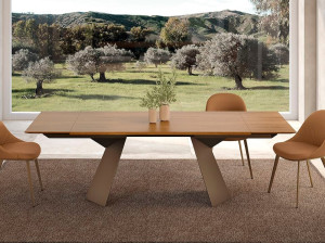 Прямоугольный выдвижной стол из шпона