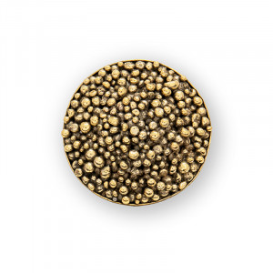 OC2033 Caviar PULLCAST Ocean Collection