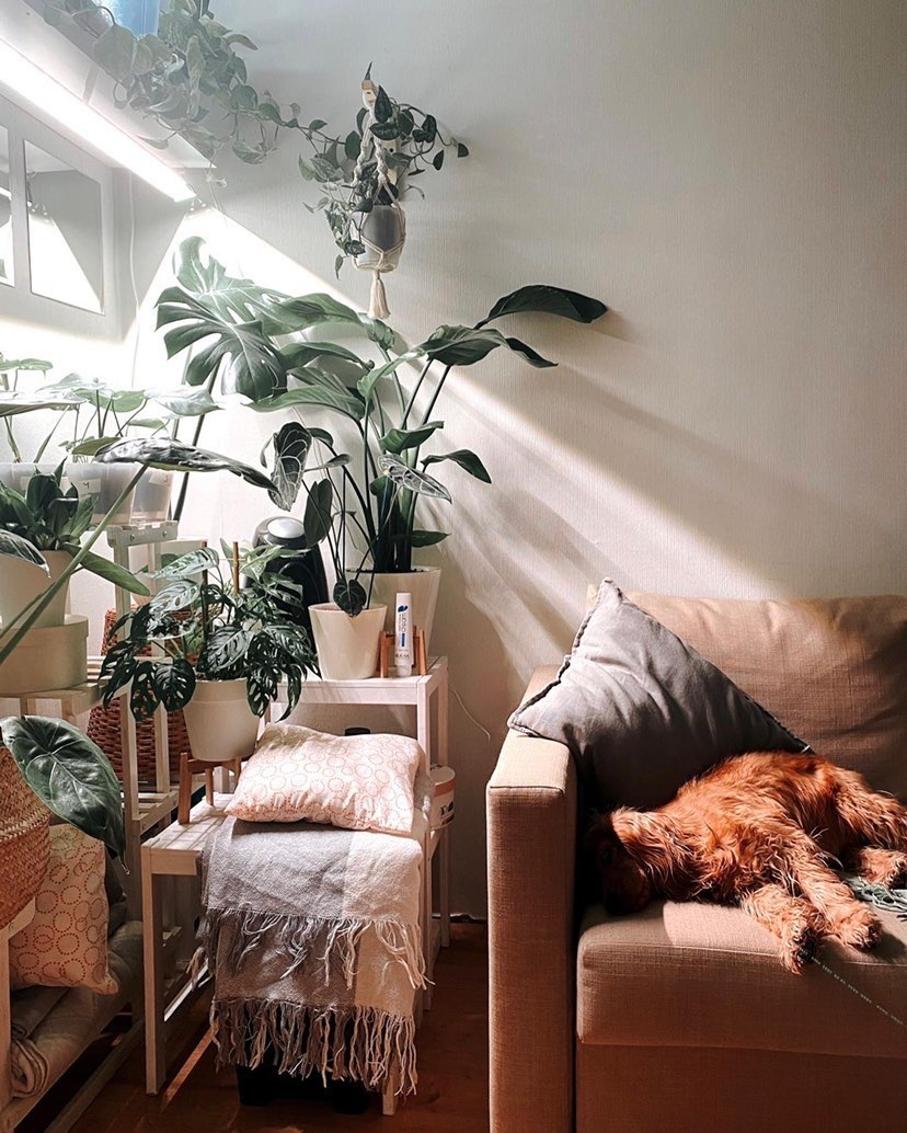 1122 Фитолампа для растений 30 Ватт. Длина 60 см. LAB.Space  - Вид №6