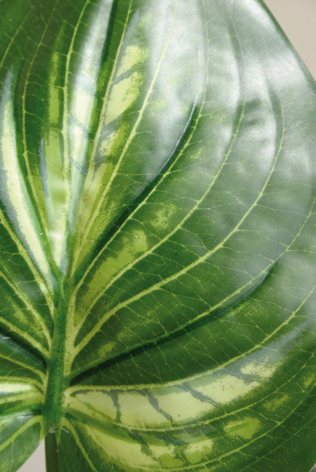 6956 805 a2 Искусственные лилии подорожника, 55см, зелено-розовые H-andreas 