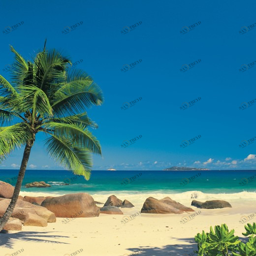 4-006-Seychellen Фотообои Komar Imagine Edition 2 194х270 м 4006SEYCHELLEN