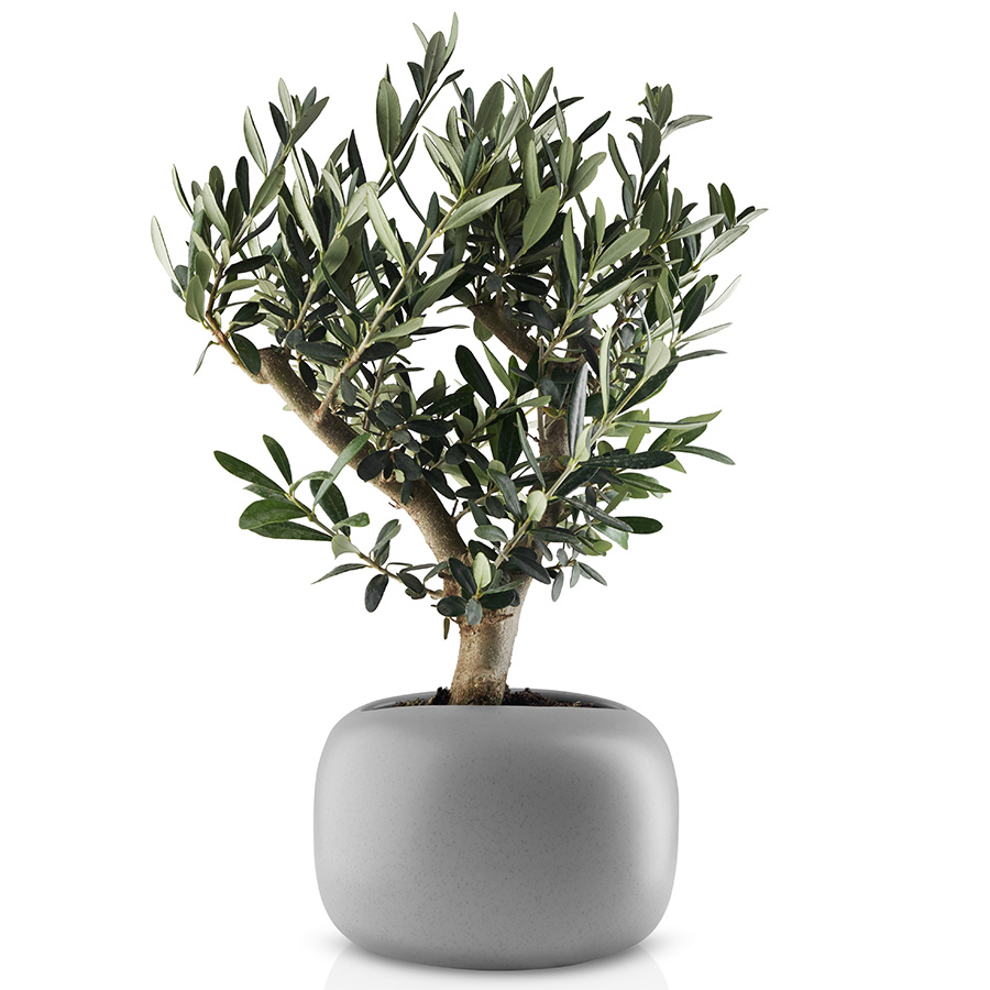 568171 Горшок для растений stone, D19 см Eva Solo  - Вид №3