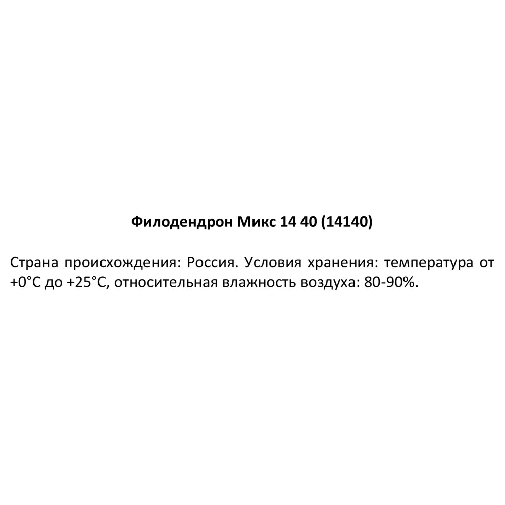 Филодендрон микс Santreyd — комнатное растение с декоративной листвой 87819631 STLM-1529648 - Вид №3