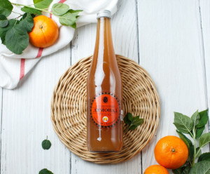 6457 Лимонад "Апельсин с брусникой" Вкусляндия