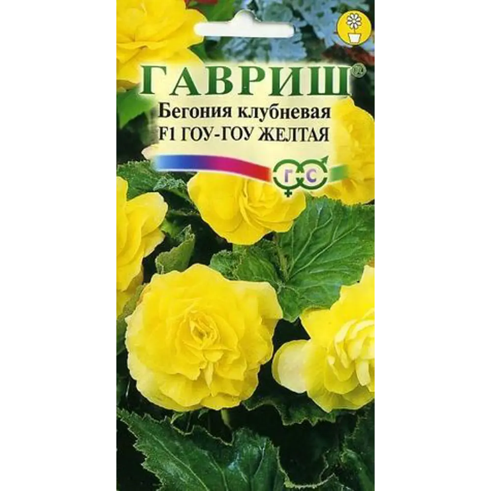 Семена Бегония клубневая Гоу-Гоу F1 83606959 STLM-2023306 ГАВРИШ 