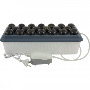 82116459 Проращиватель Здоровья клад «Чудо грядка»