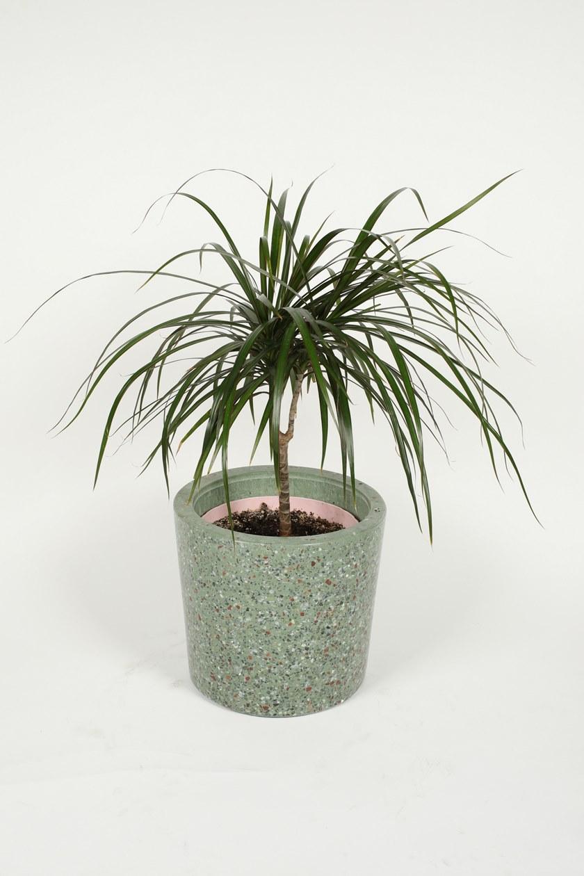 KAROISTANBUL Ваза в венецианском терраццо Complementi d'arredo sun-id-1408887 - Вид №1