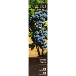 Голубика высокая Либерти в тубе 82539548 STLM-2059748