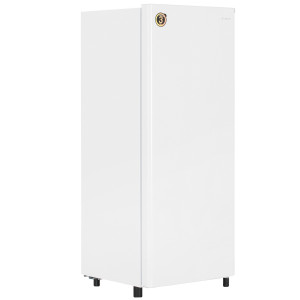 5413153 Холодильник компактный   DEXP S2-17AHE белый