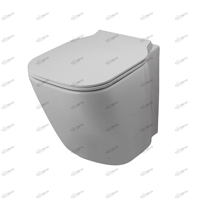 "Без ободка" спинка к стене. Регулируемая розетка с крепежным комплектом 100239113 -   N436024016.  Essence c NOKEN 100229857  WHITE