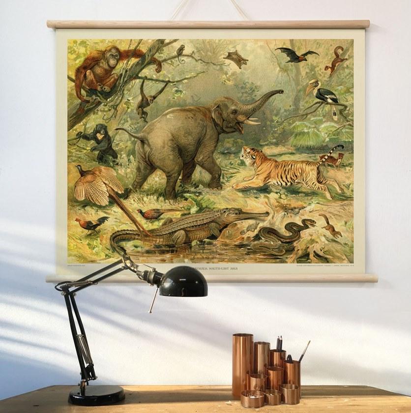 Groovy Magnets Магнитный плакат Animal Pos-ff - Вид №2