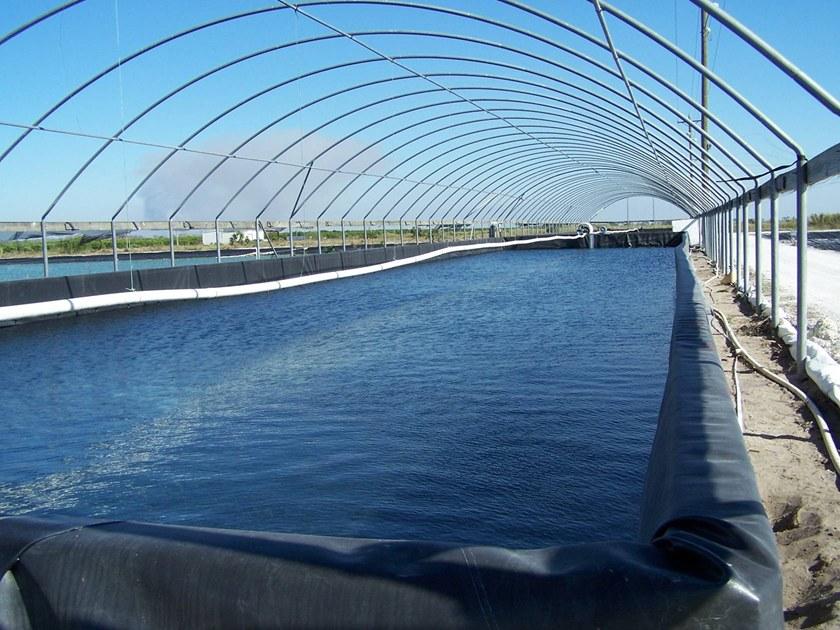 Firestone Building Products Геомембрана в epdm sun-id-1456800 - Вид №26