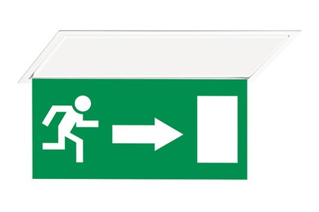 DST-307 Hydra pennant Daisalux Светильники аварийные Белый 