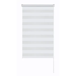 Рулонная штора день-ночь MIAMOZA Петер 60×160 см белая 89411379