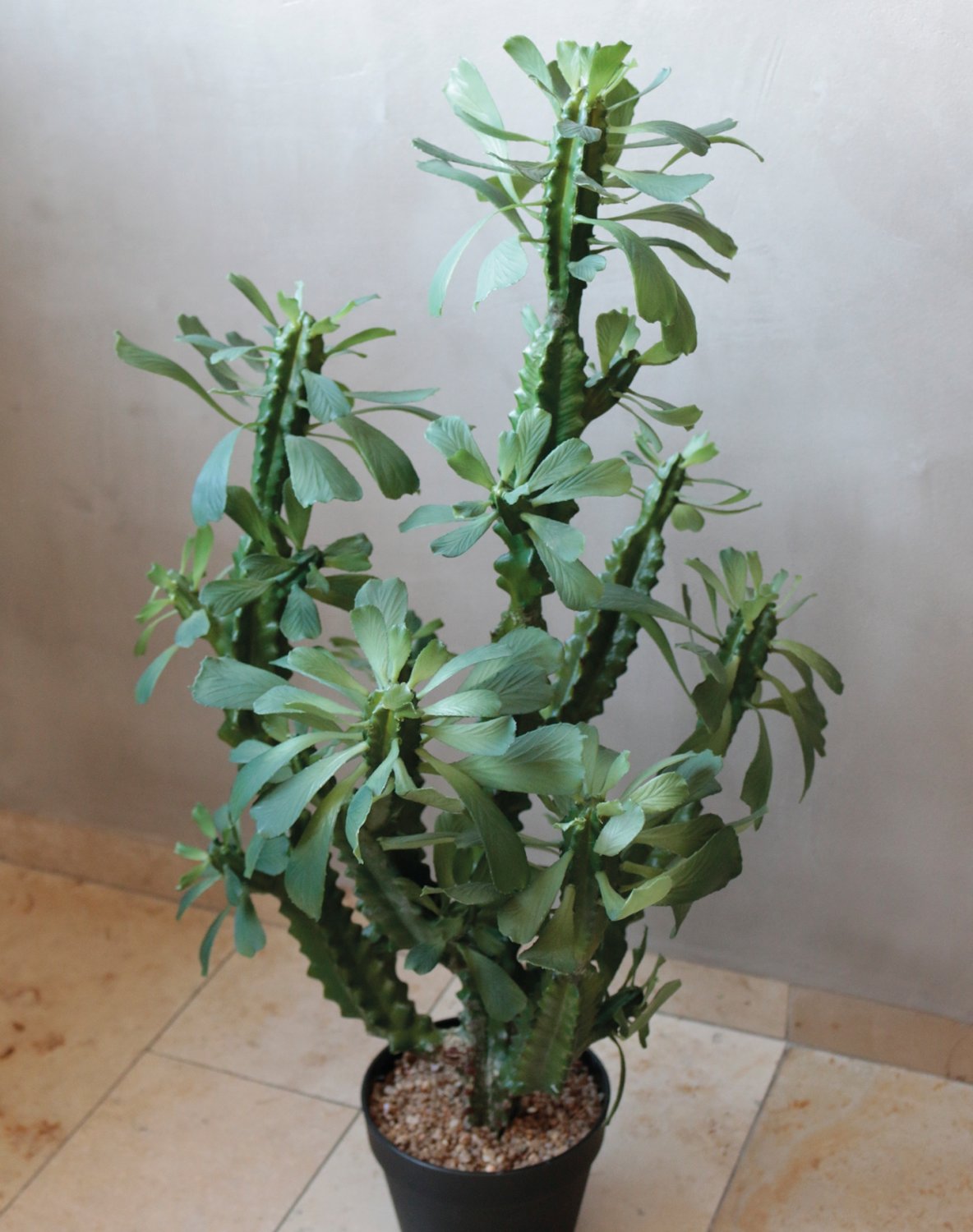 6148 883 a3 Молочай искусственный тригона, горшечный, 88 см, зеленый H-andreas 