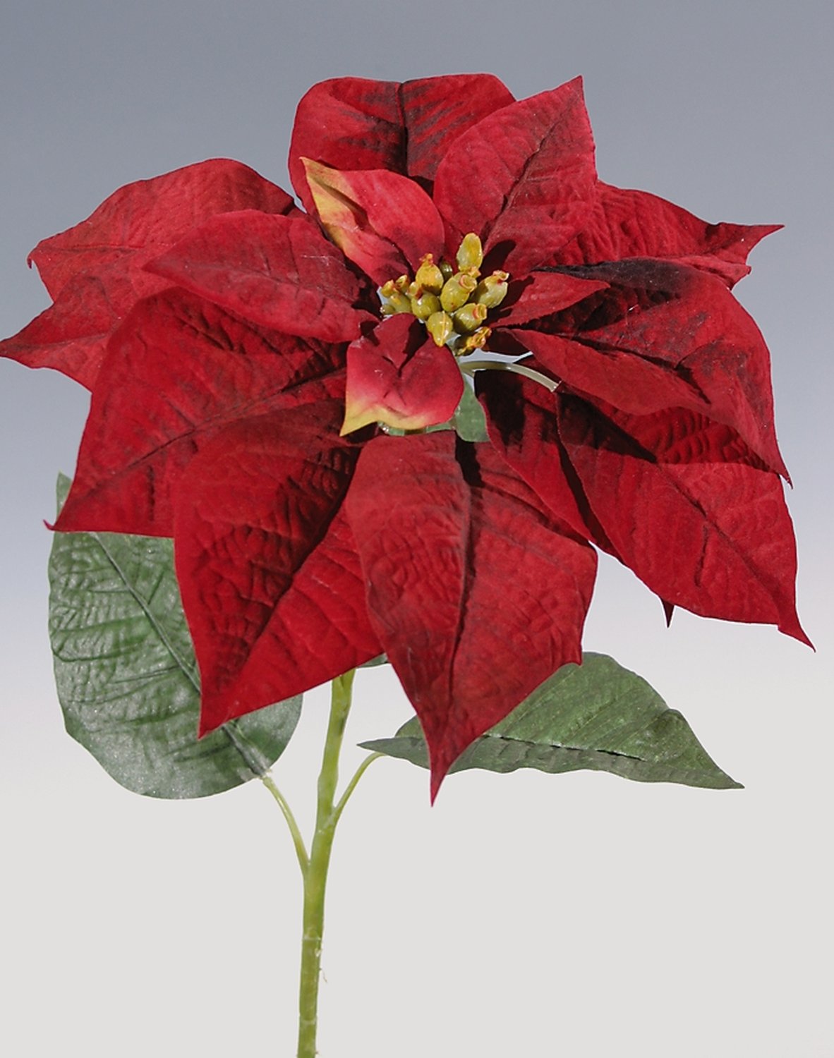 1893 444 a3 Искусственная пуансеттия, 75 см, красная H-andreas  - Вид №2