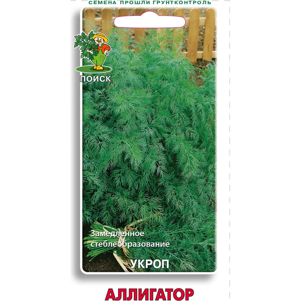 Семена укропа кустового ПОИСК «Аллигатор» - ароматная зелень для вашего огорода 83227420 STLM-0039567